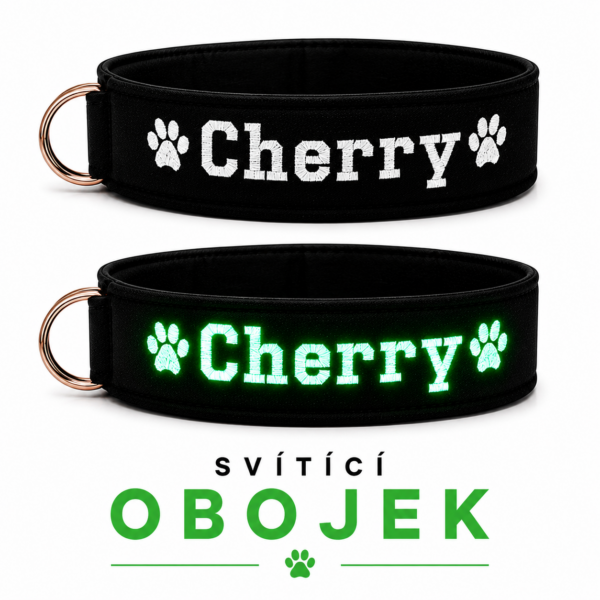 Sestav si svítící obojek