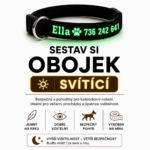 Svítící obojek