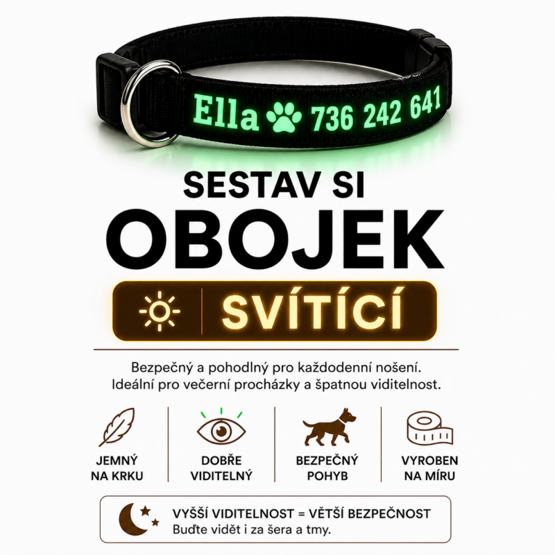 Svítící obojek