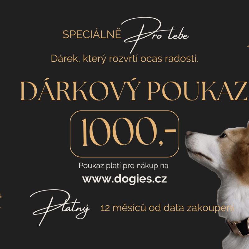 Dárkový poukaz 1000 Kč