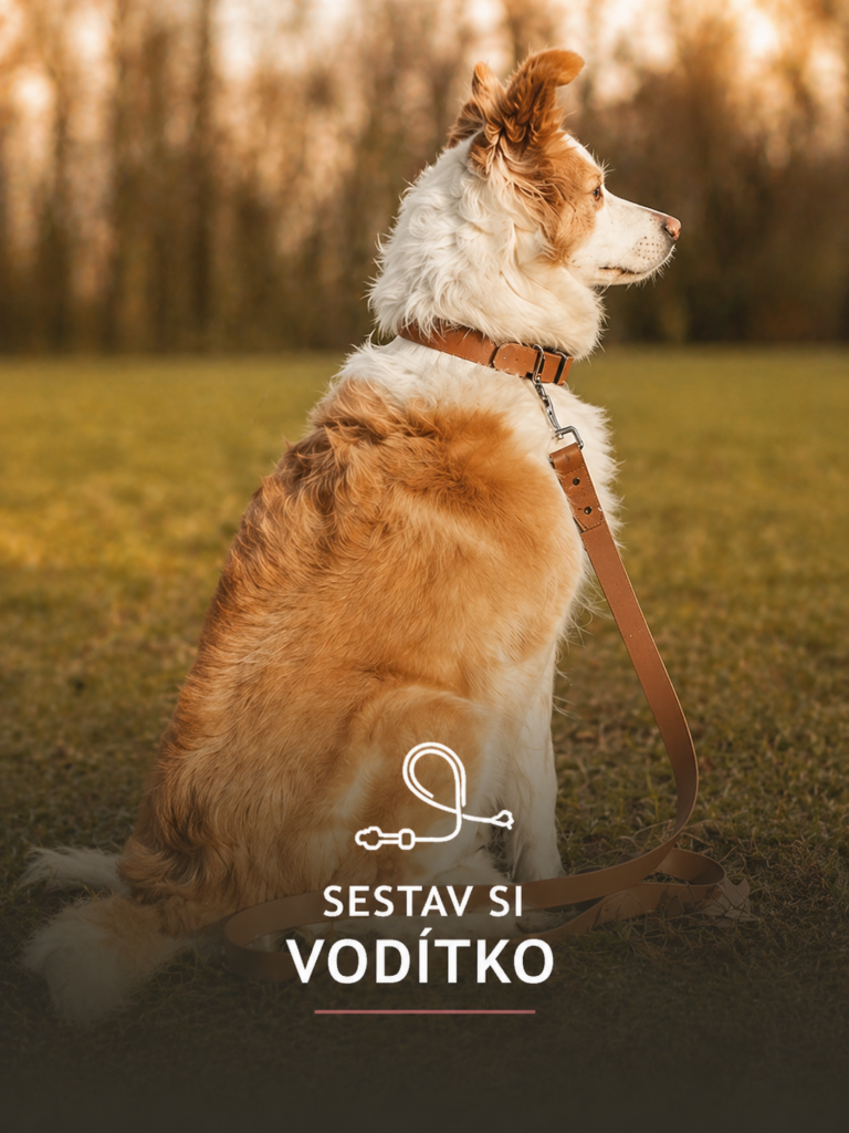 Sestav si vodítko