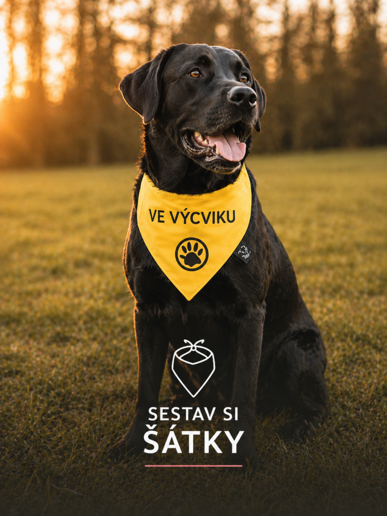 Šátky