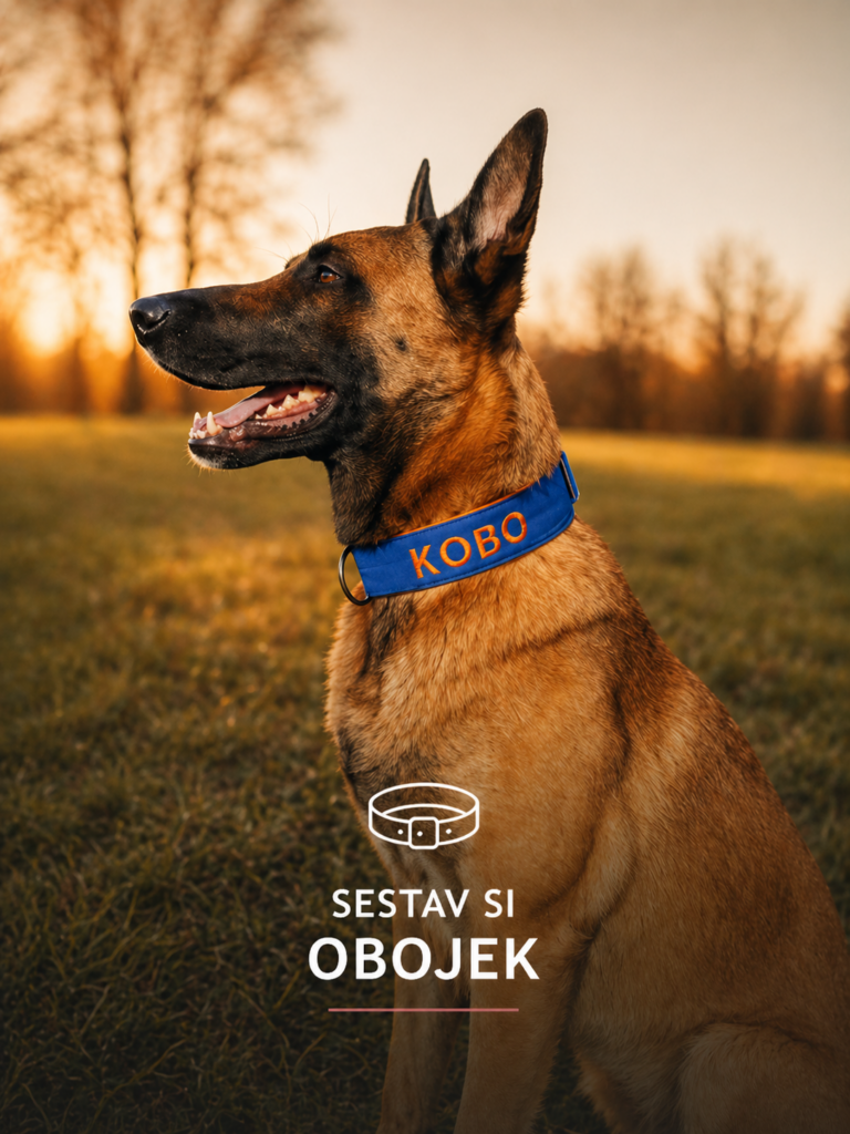 Sestav si obojek