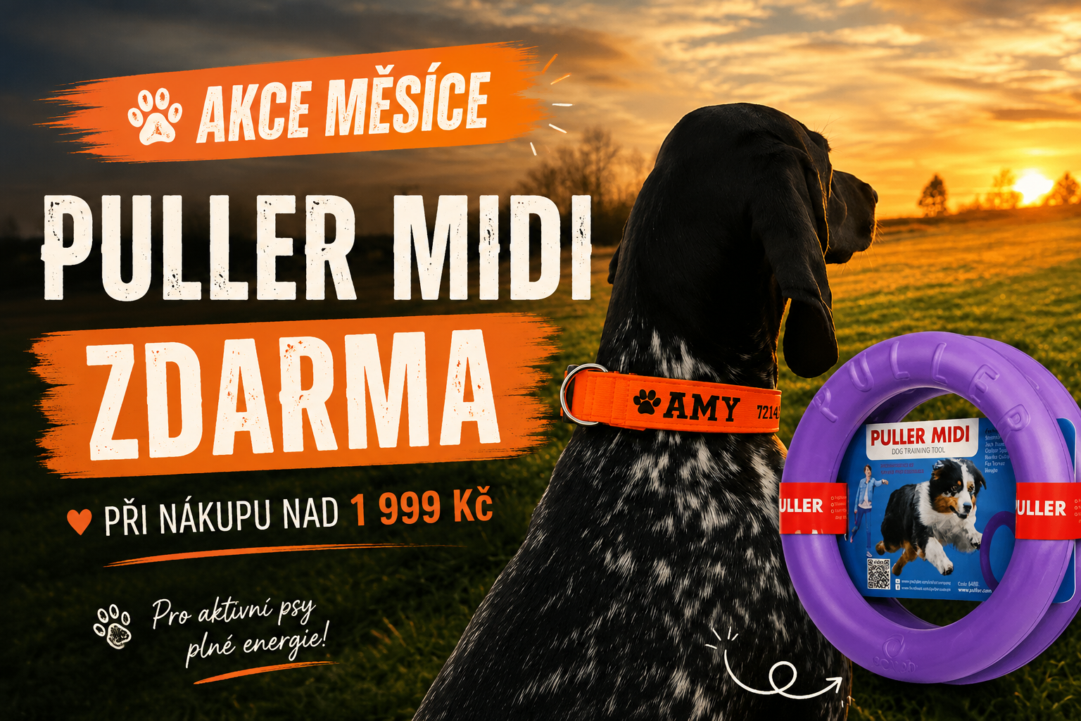 Pes Gaia s obojkem Dogies